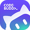 CodeBuddy